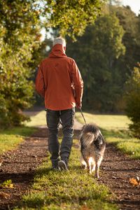 fotograf-celle-hunde-tiere-portrait-hund-waldweg-sonnenaufgang-herbst-13